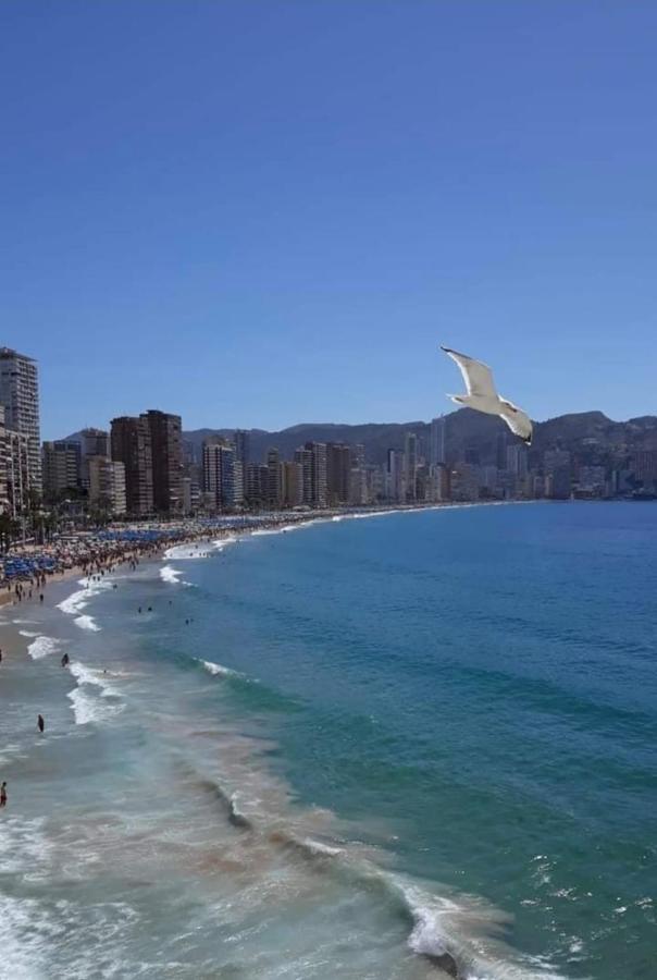 San Remo Levante Beach Apartments เบนิดอร์ม ภายนอก รูปภาพ